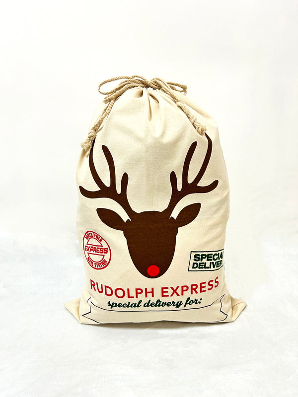 Rudolph express special delivery Christmas gift bag