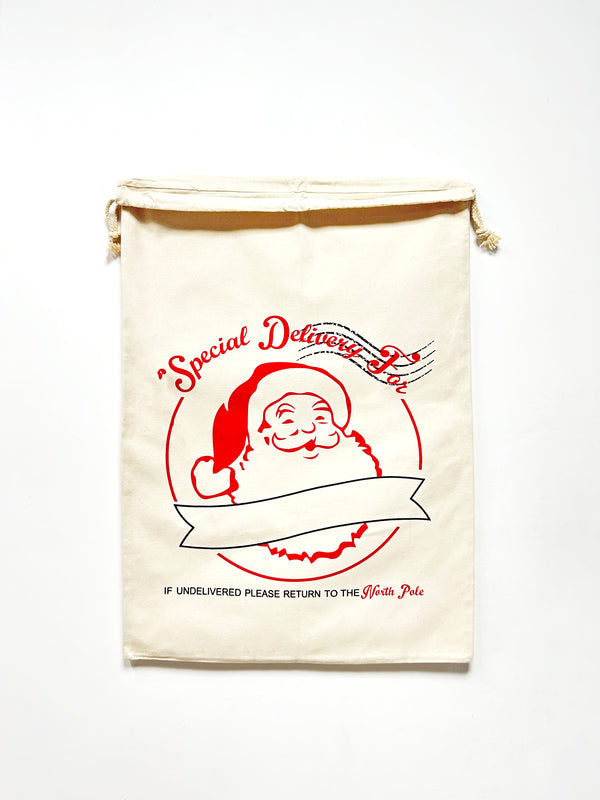 Santa special delivery Christmas gift bag