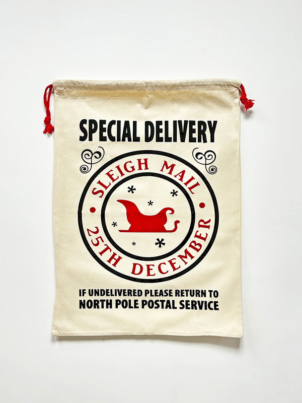Sleigh Mail Christmas gift bag