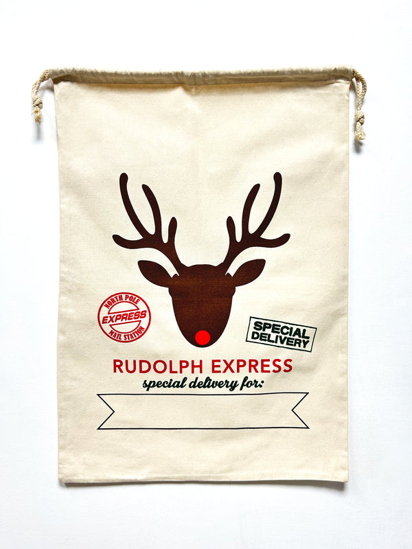 Rudolph express special delivery Christmas gift bag