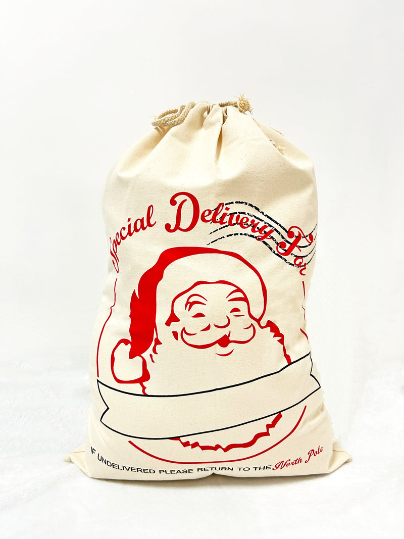 Santa special delivery Christmas gift bag