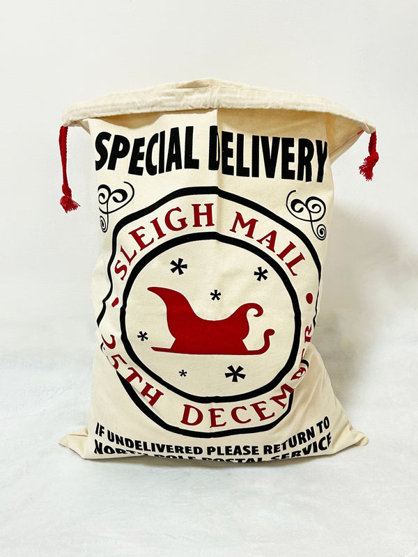 Sleigh Mail Christmas gift bag